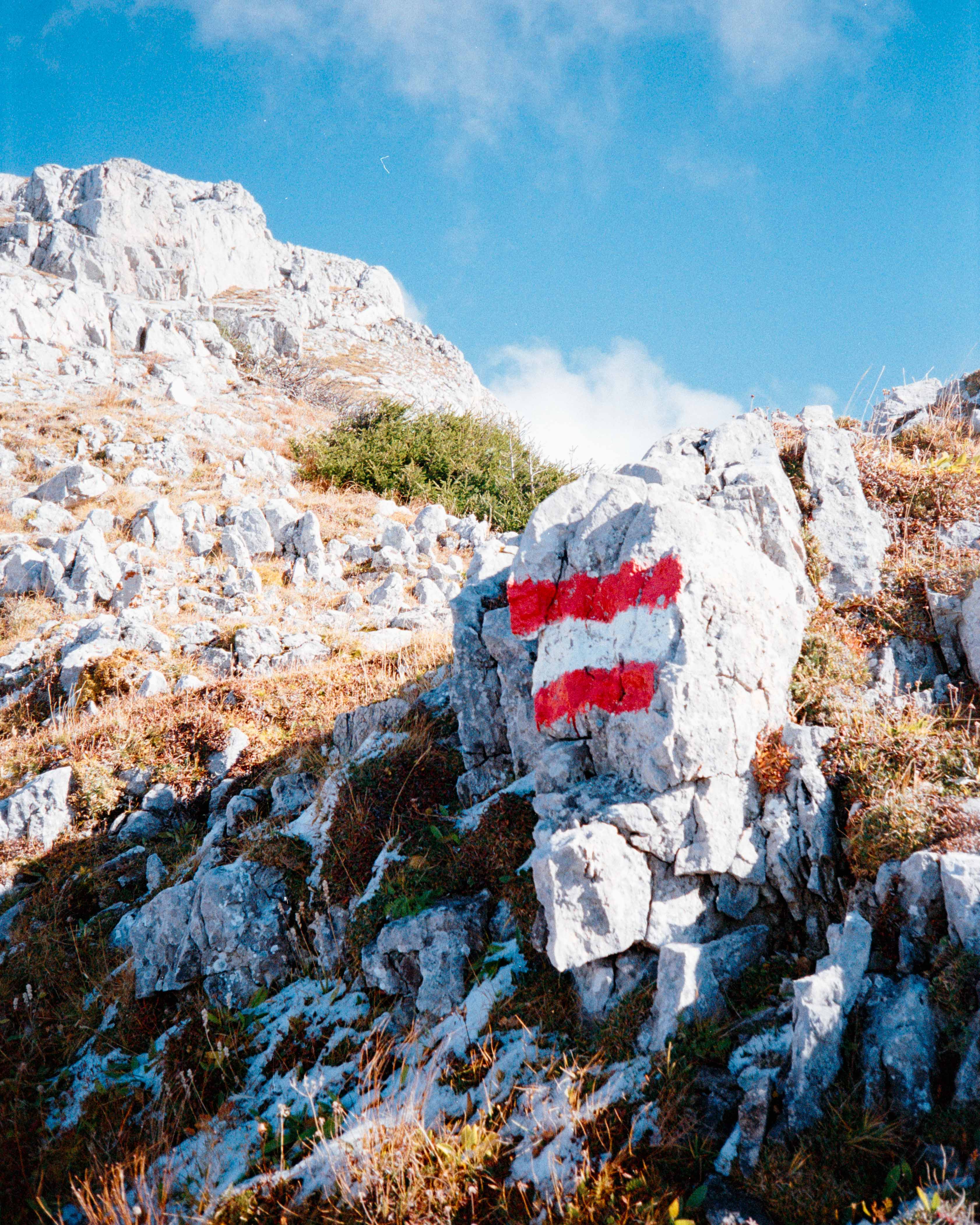 Portfoliobild (c)Alexander Krivda